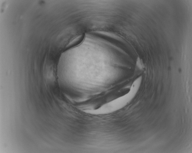 X0000075821250200610061748