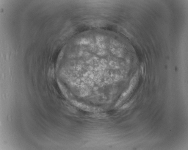 X0000075821251200610061748