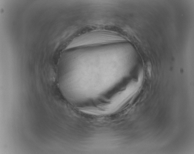 X0000075821253200610061748