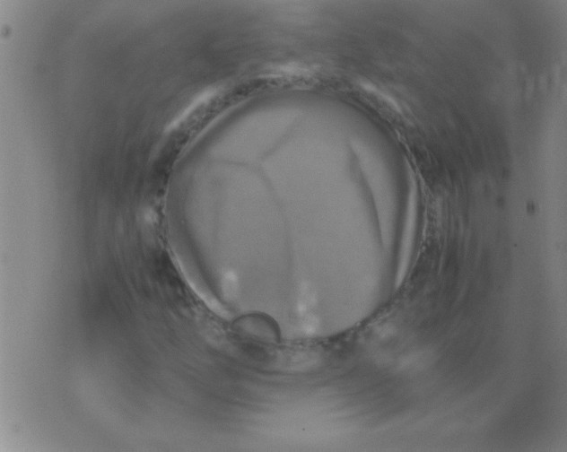 X0000075821254200610061748