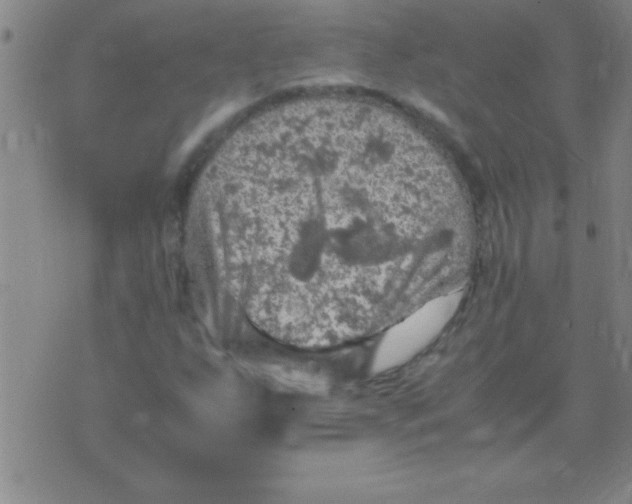 X0000075821255200610061748