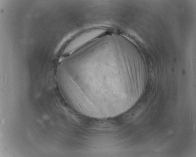 X0000075821256200610061748