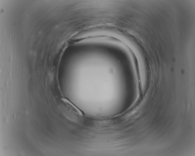 X0000075821257200610061748