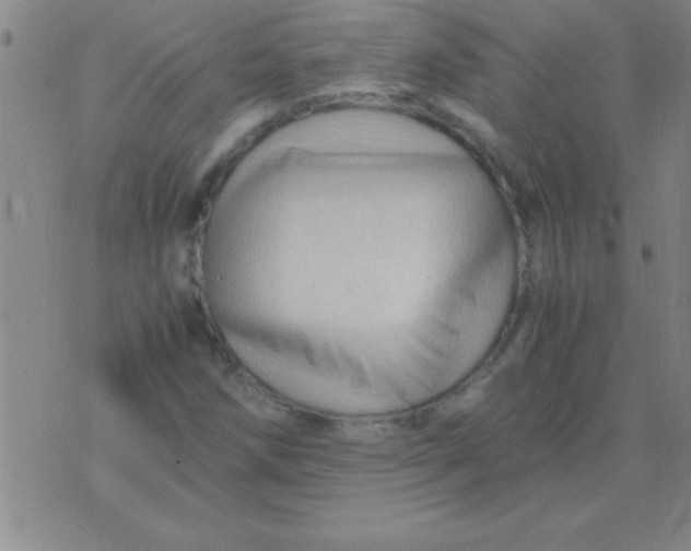 X0000075821258200610061748