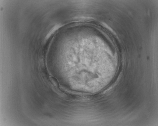 X0000075821259200610061748