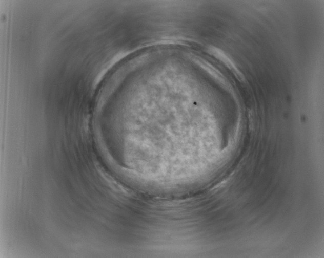 X0000075821260200610061748