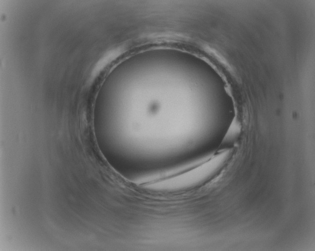 X0000075821261200610061748