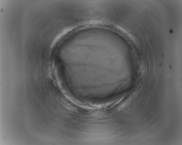 X0000075821262200610061748