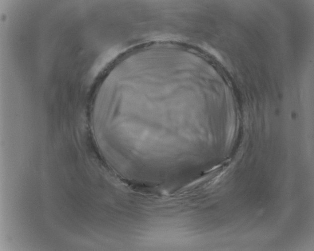 X0000075821263200610061748