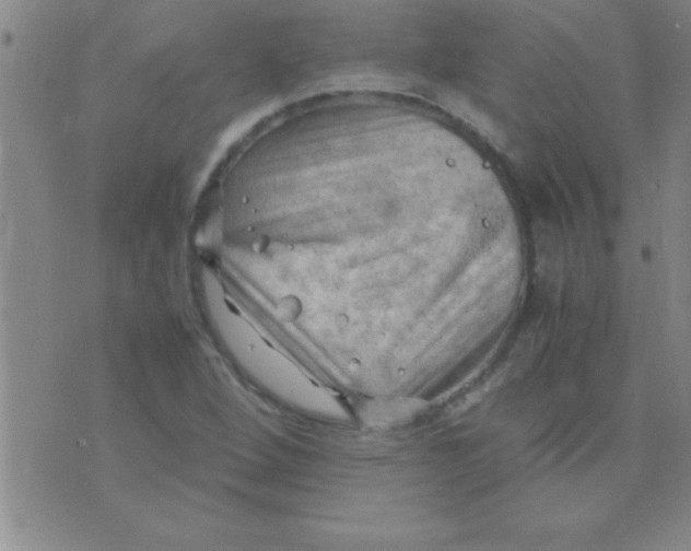 X0000075821264200610061748