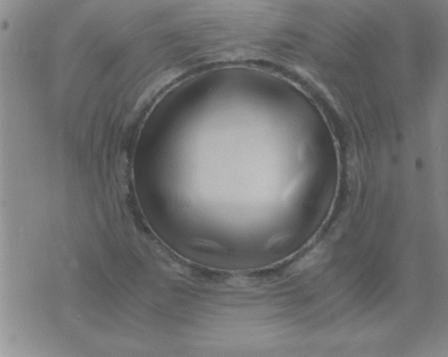 X0000075821265200610061748