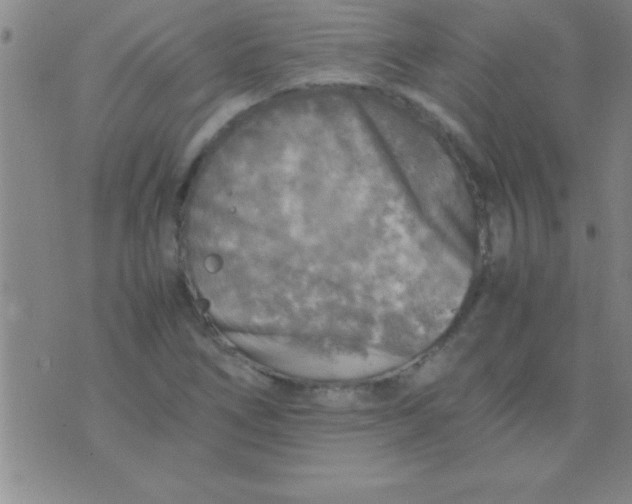 X0000075821266200610061748