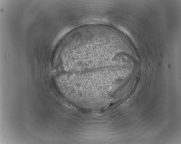 X0000075821267200610061748