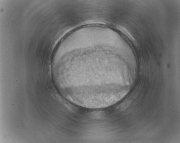 X0000075821268200610061748