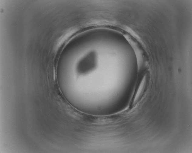 X0000075821269200610061748