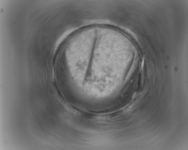 X0000075821271200610061748