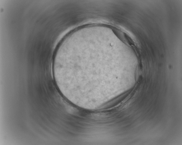 X0000075821272200610061748