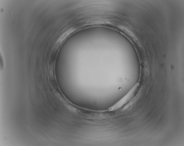 X0000075821273200610061748