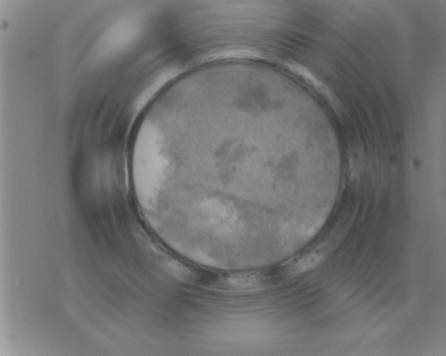 X0000075821274200610061748