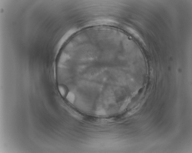 X0000075821275200610061748