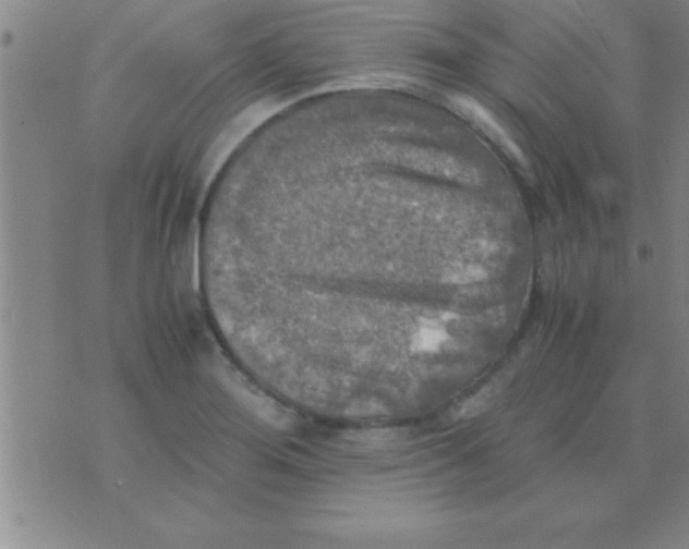 X0000075821276200610061748