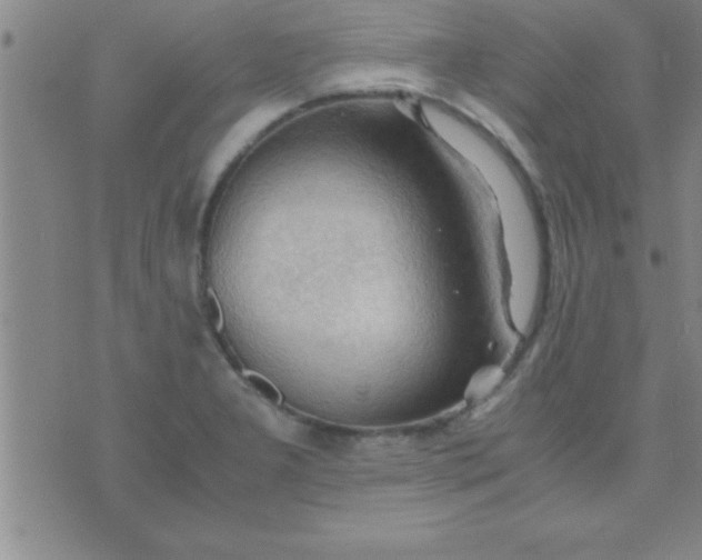 X0000075821277200610061747