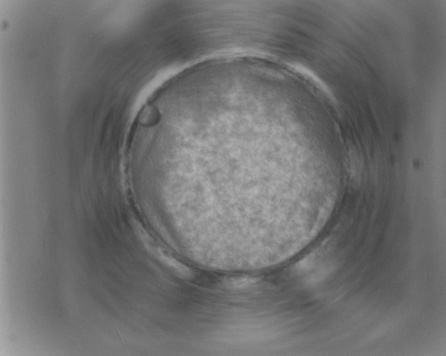 X0000075821278200610061747