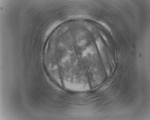 X0000075821279200610061747