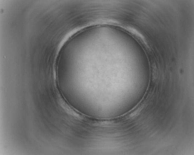 X0000075821280200610061747