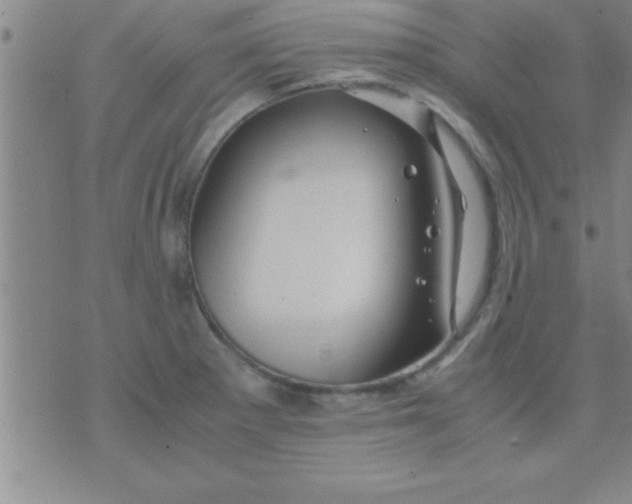 X0000075821281200610061747