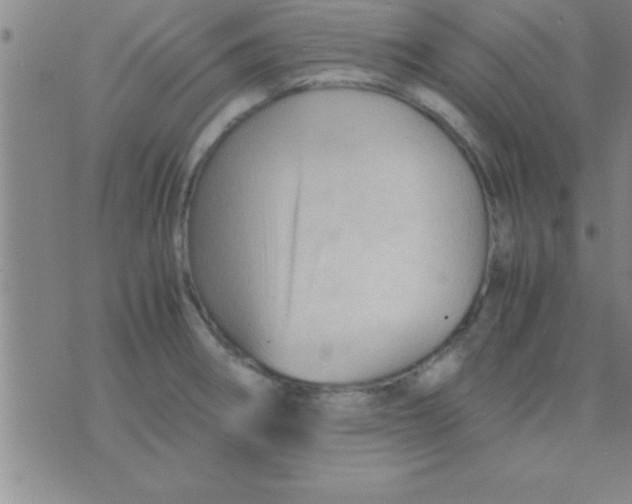 X0000075821282200610061747