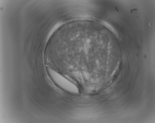 X0000075821283200610061747