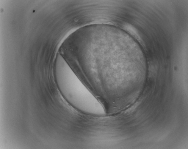 X0000075821284200610061747