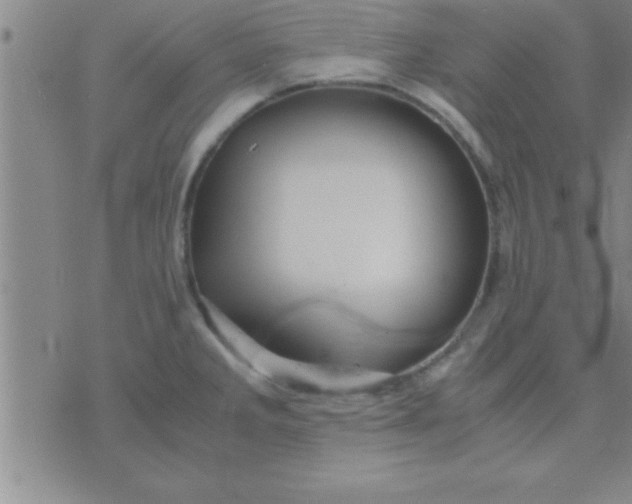 X0000075821285200610061747