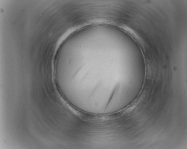 X0000075821286200610061747