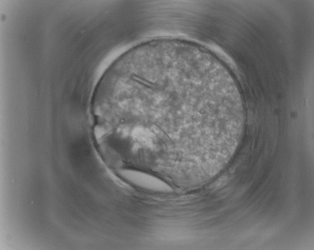 X0000075821287200610061747