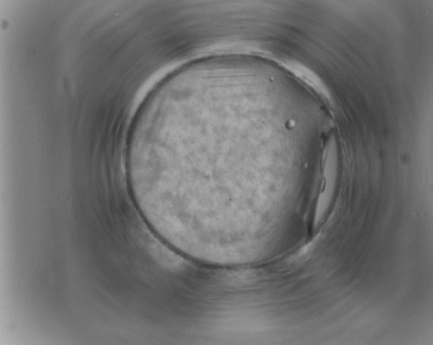 X0000075821288200610061747