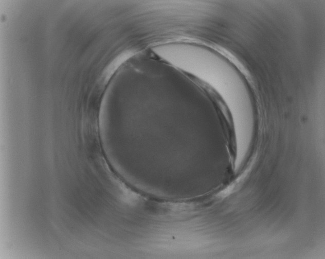 X0000075821289200610061747