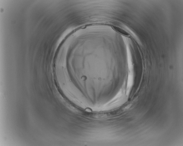 X0000075821291200610061747