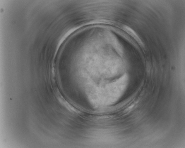 X0000075821292200610061747