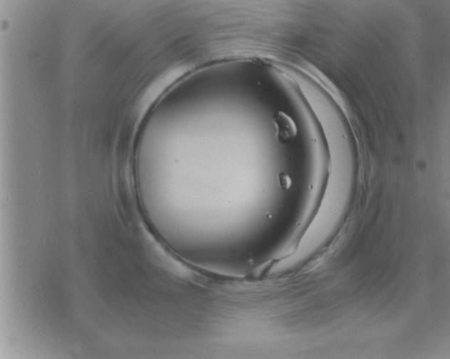 X0000075821293200610061747