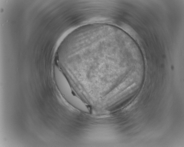 X0000075821296200610061747