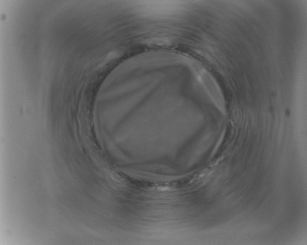 X0000075821297200610061746