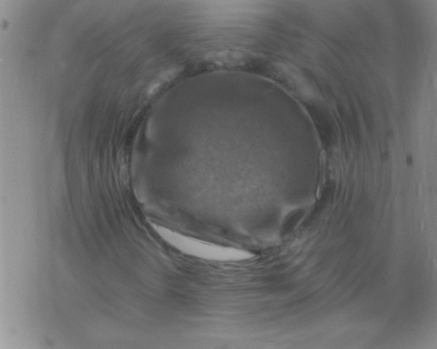 X0000075821298200610061746