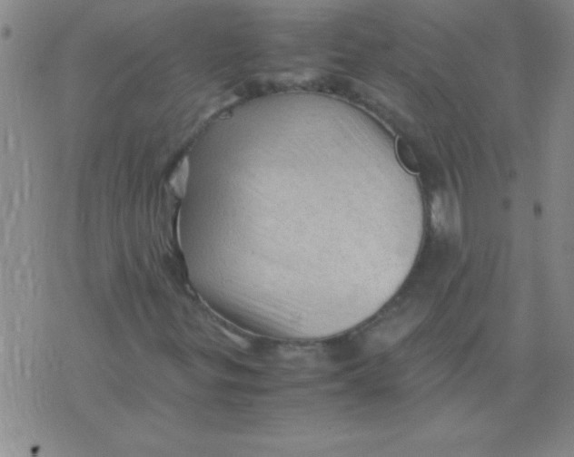 X0000075821299200610061746