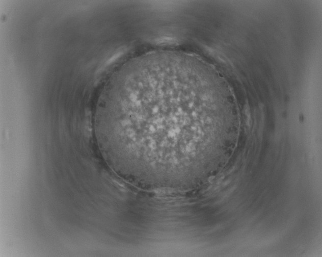 X0000075821301200610061746