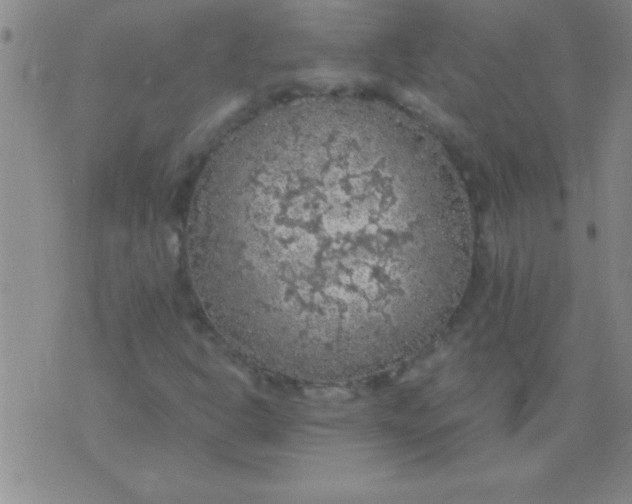 X0000075821302200610061746