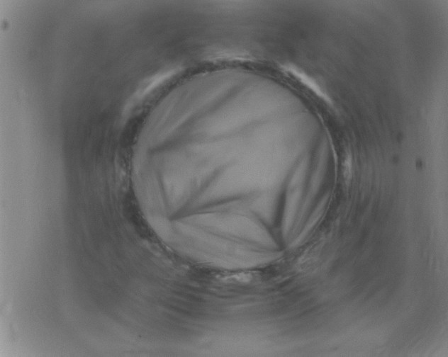 X0000075821303200610061746