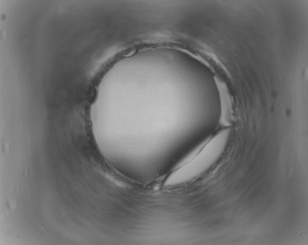 X0000075821304200610061747