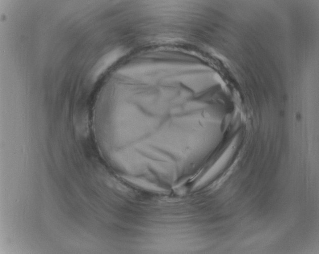 X0000075821306200610061747